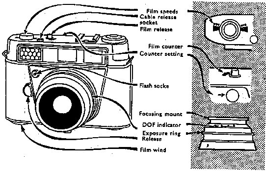 The Retina Automatic I, II and III